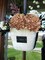 3 Pcs 17" Artificial Dried Touch Hydrangeas Flowers - Pinkish Brown